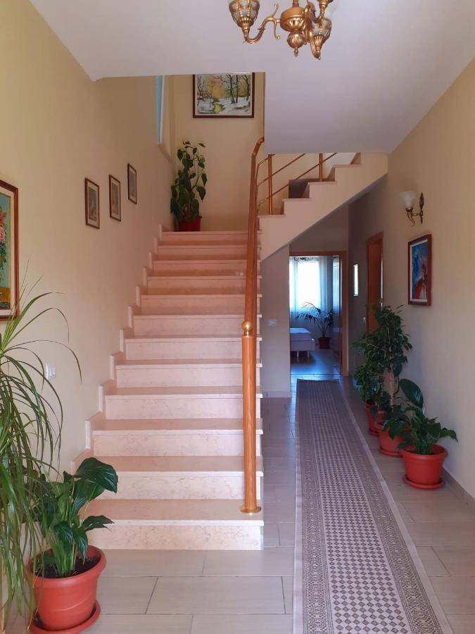 Guest House Zadeja Shkodra Kültér fotó